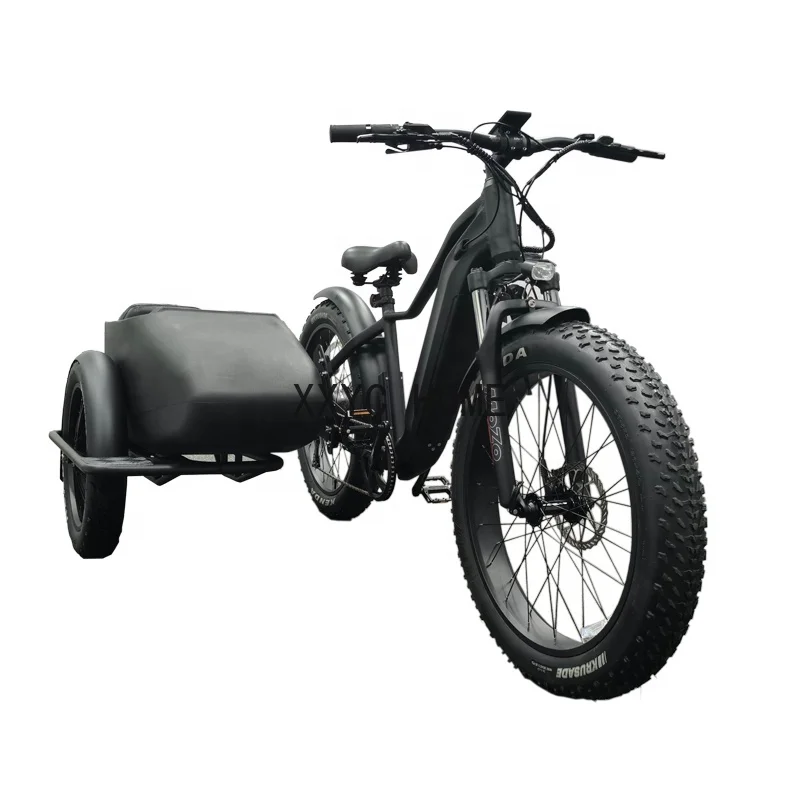 Bike Side Car Adult Electric Tricycle Bicycle 3 Wheel Ebike Electric Cargo Trike 750w Hidden Lithium Battery Etrike Sidecar