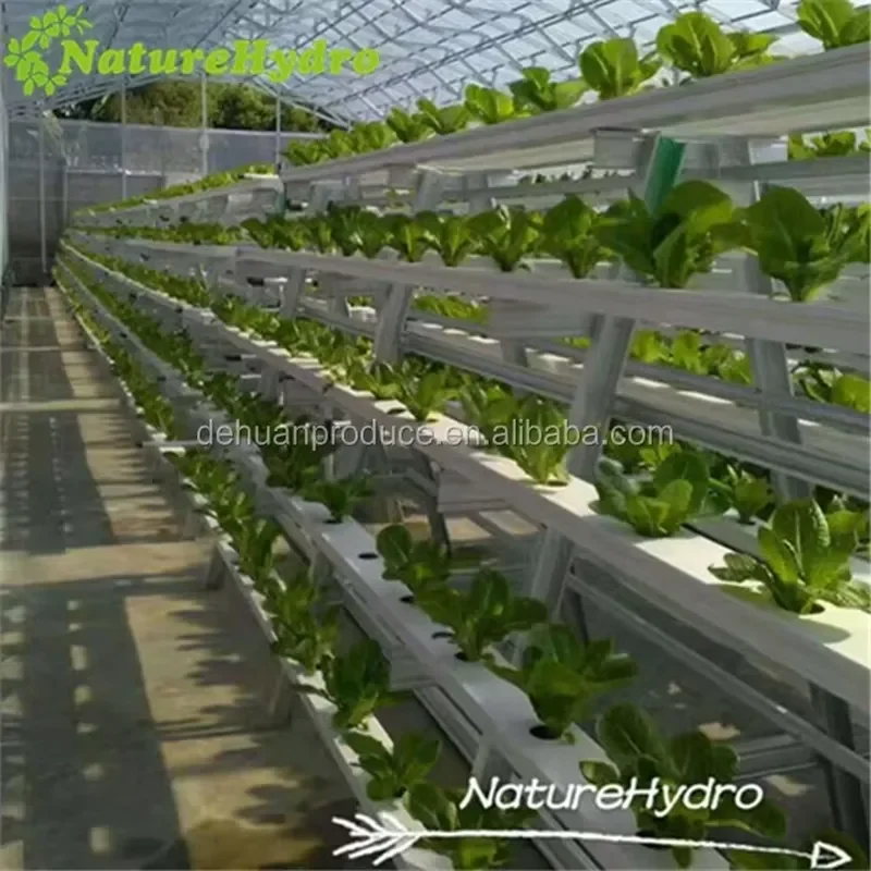 Wholesale PVC NFT Gully Hydroponic System Vertical Farming