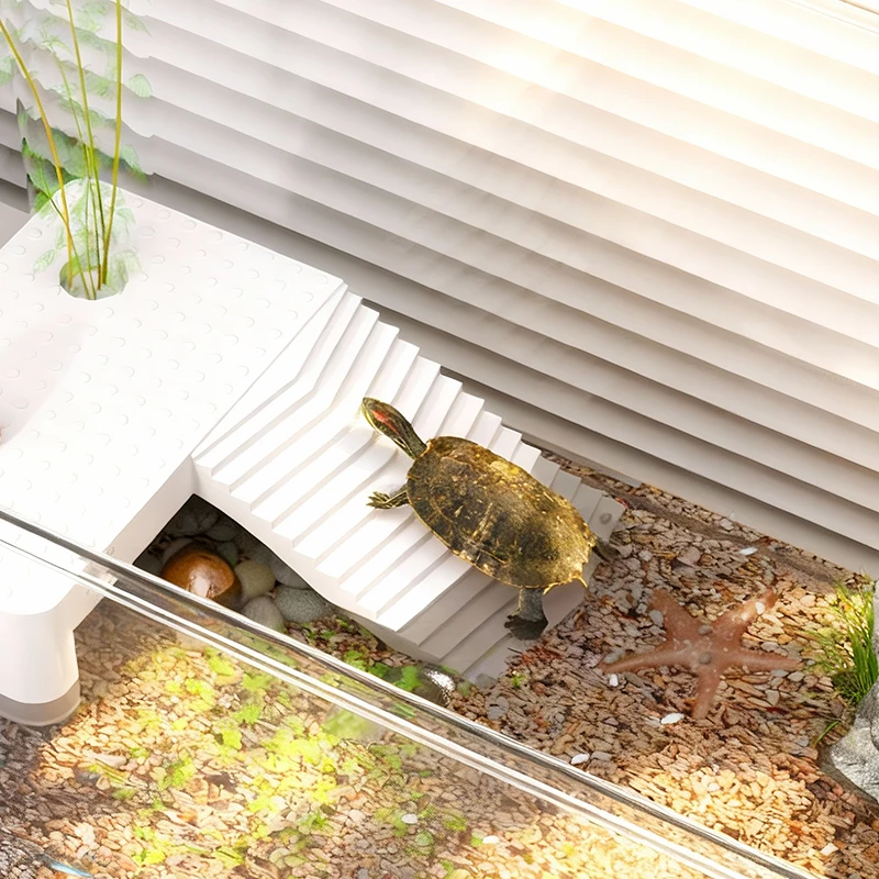Transparent Reptile Terrarium Tank with Basking Area for Pet Turtles Hermit Crabs Tortoises - Turtle Adoption Habitat view 6