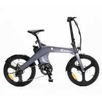 DYU T1 Electric Bike 250W Brushless Motor 36V10AH Lithium Battery Magnesium Alloy E-bike Adult 20-in Tire Fold Electric Bicycle