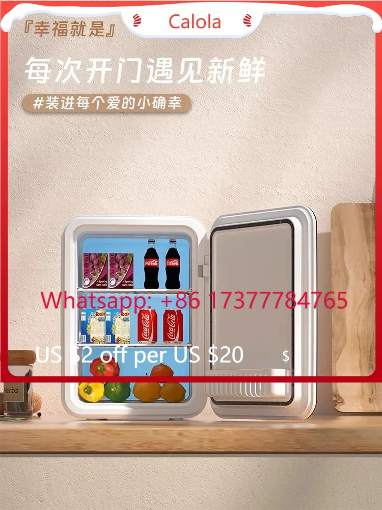 USB 220V Dual Use Compact Portable Refrigerator Car Dormitory Mini Fridge for Makeup Mask Breast Milk Storage