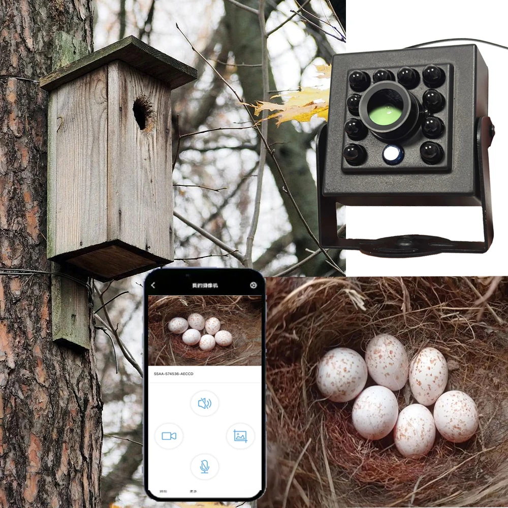 WiFi Bird Box Camera POE 5MP 2MP IPC Easy Installation to Most of Bird House Birdhouse Feeders Nesting with Night Mode IR CUT