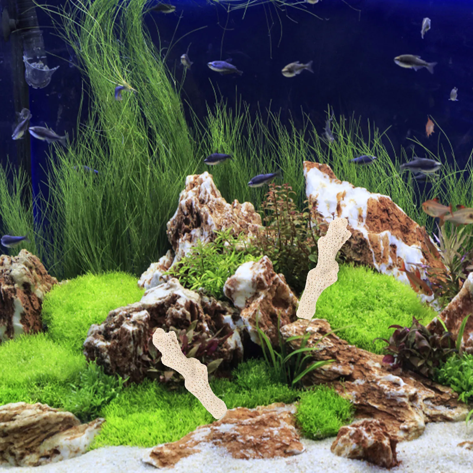 

1Set Natural Coral Filter Media Aquarium Fish Tank Filtration Material High-Density Water Cleaner for Freshwater Saltwater Pond