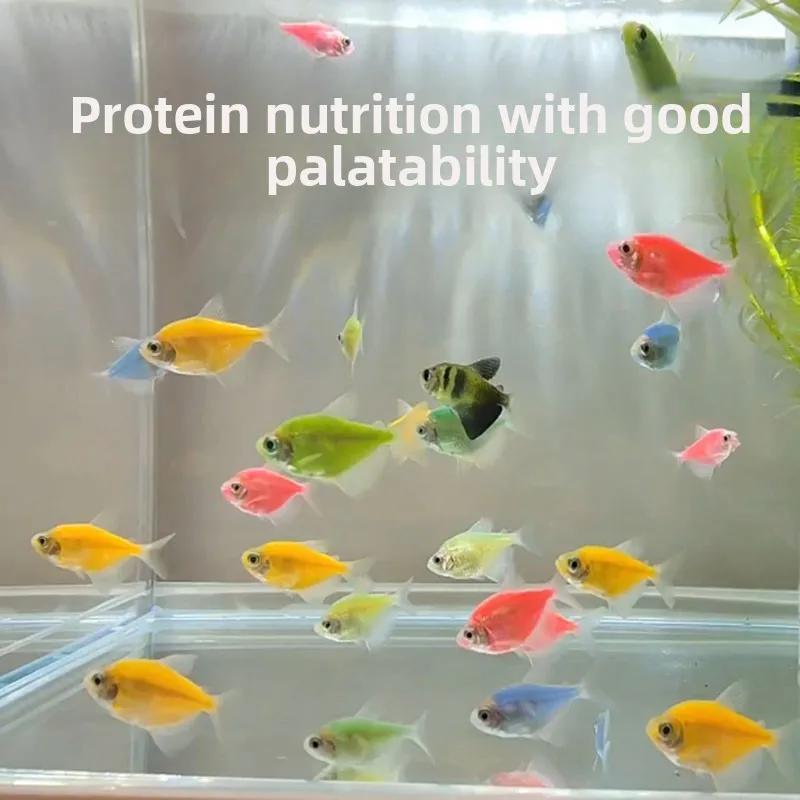XIAOYUMIMA High Protein Color Enhancing Food for Angelfish & Tetras, Premium Formula for Discus, Guppies and Danios