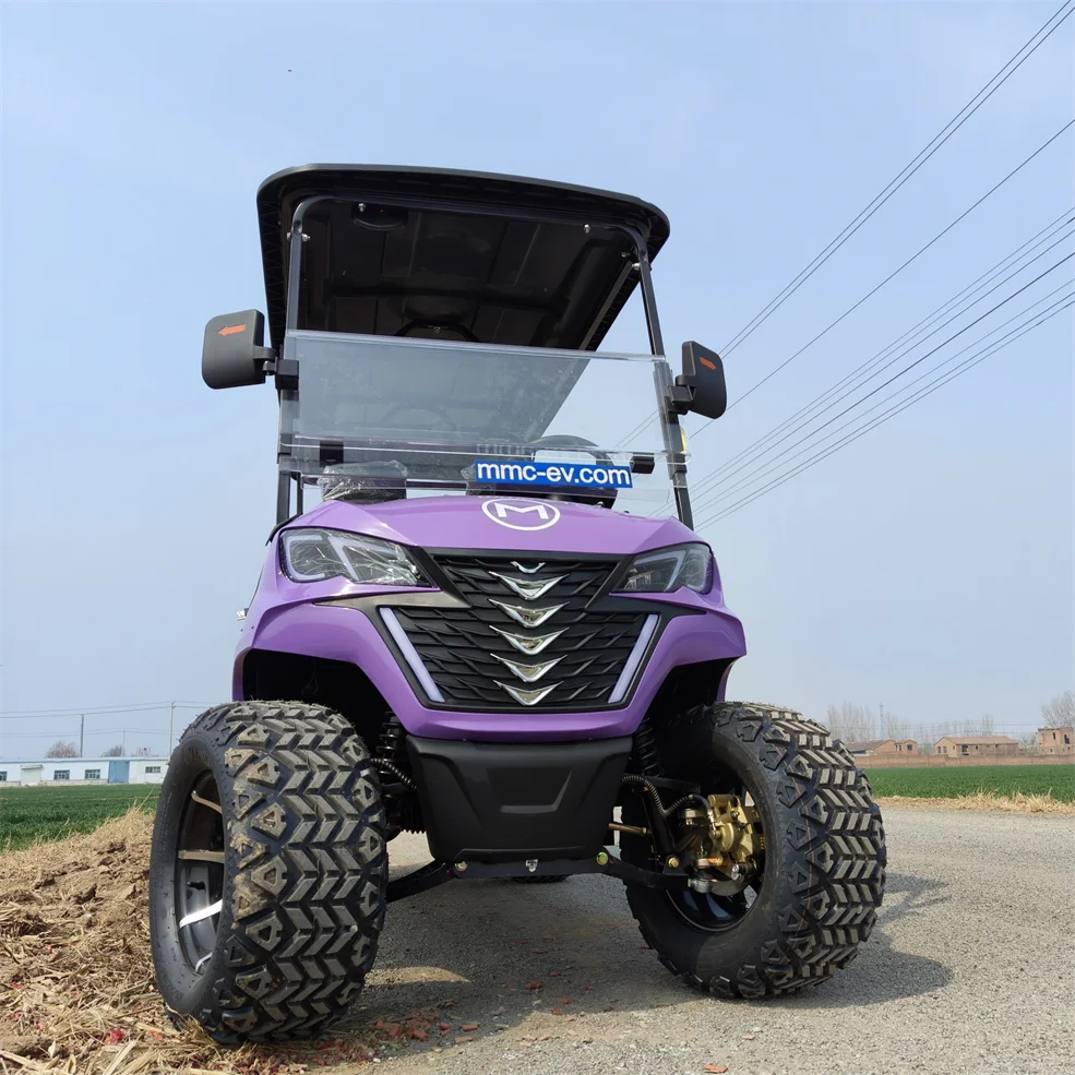 Independent suspension 6 Passenger Electric Sightseeing Golf Cart Utility Vehicle Road legal buggy