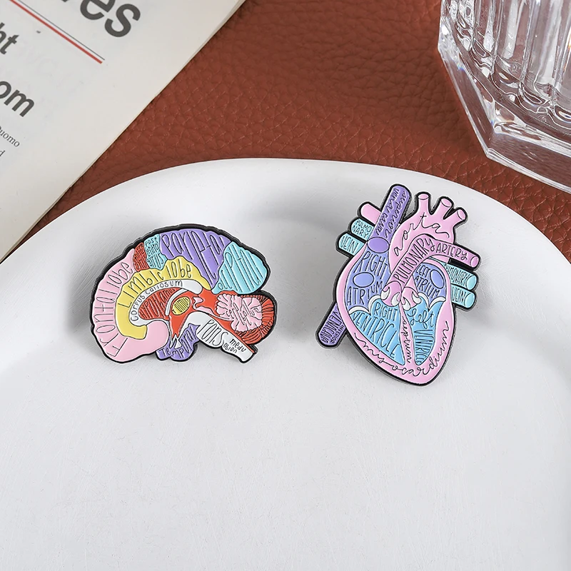Broches en émail d'anatomie du - Medical Laboratory Science avis et prix