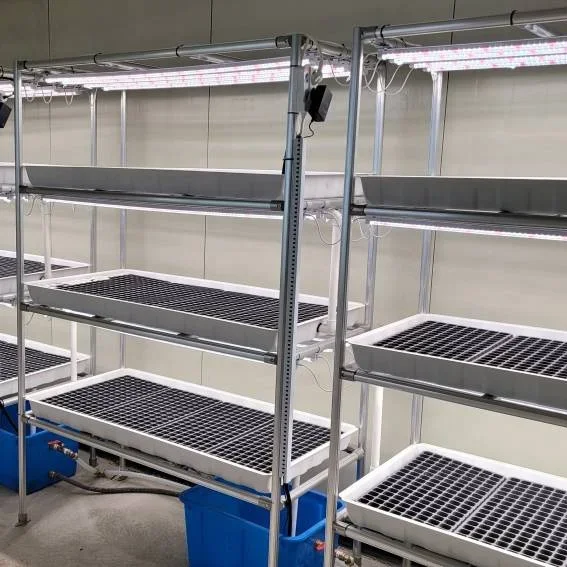 

Hot Sell Multi-Layer Hydroponics Growing System Indoor Hydroponic Vertical Farming