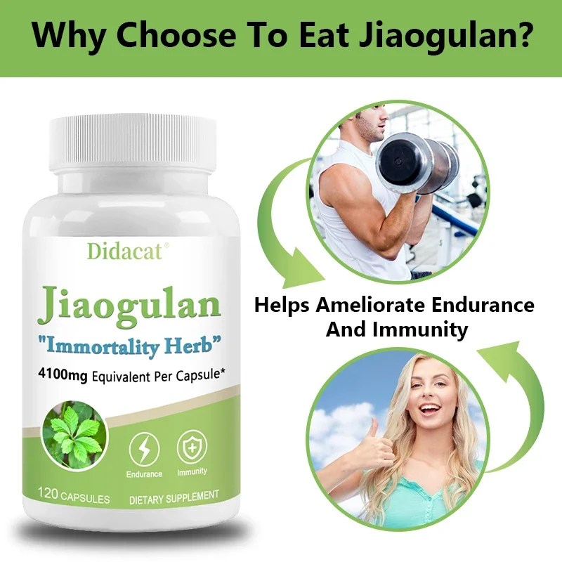 Jiaogulan  Antioxidants, Metabolism, Mitochondrial Support, Energy Levels, Focus