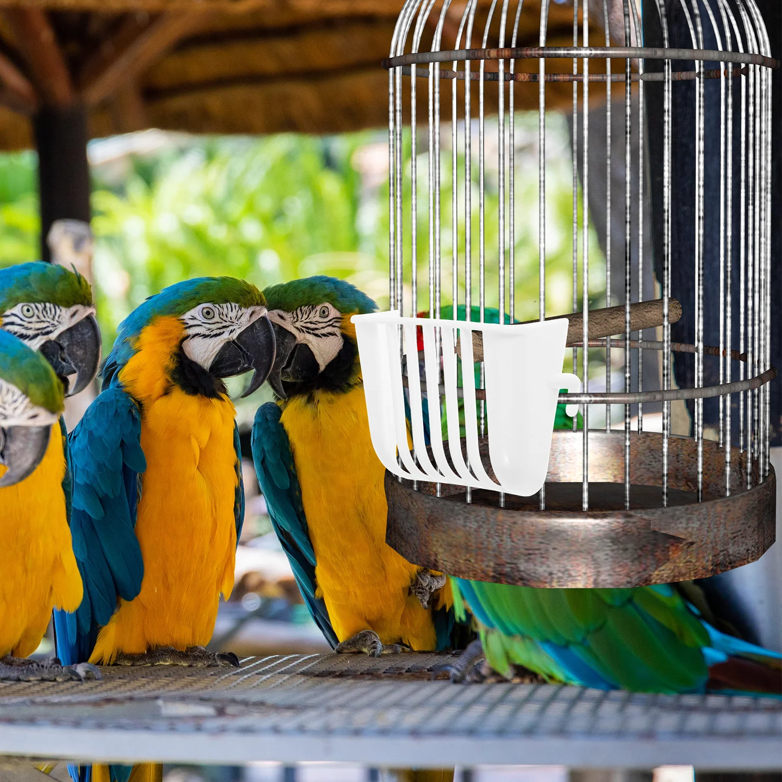 

4Pcs Durable Parrot Cage Feeder Easy Installation Indoor Outdoor Use Bird Food Container Bird Food Container Parrot Cage Feeder