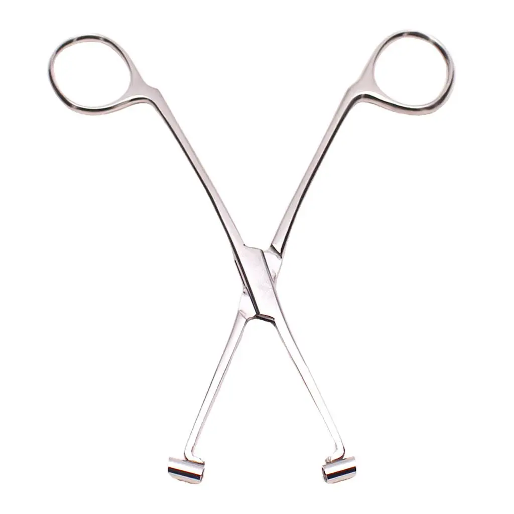 6inch Professional Stainless Steel Septum Forceps Body Piercing Clamp