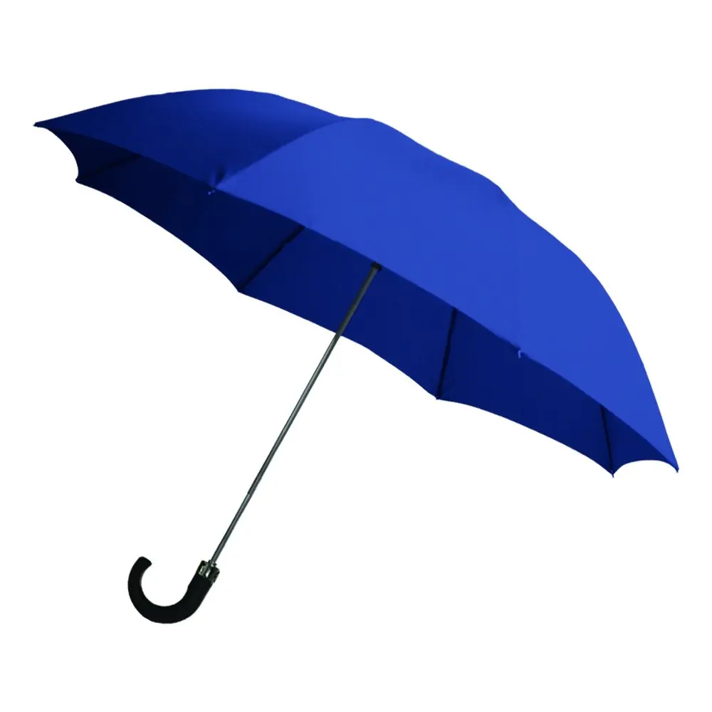 

2-Fold Auto Open Umbrella