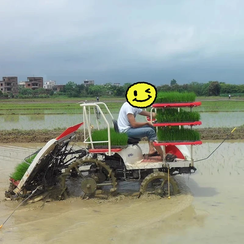 

【Hot】Walk - Behind Fully Automatic oline - Powered Rice Transplanter, a Precision Seedling Planting Tool
