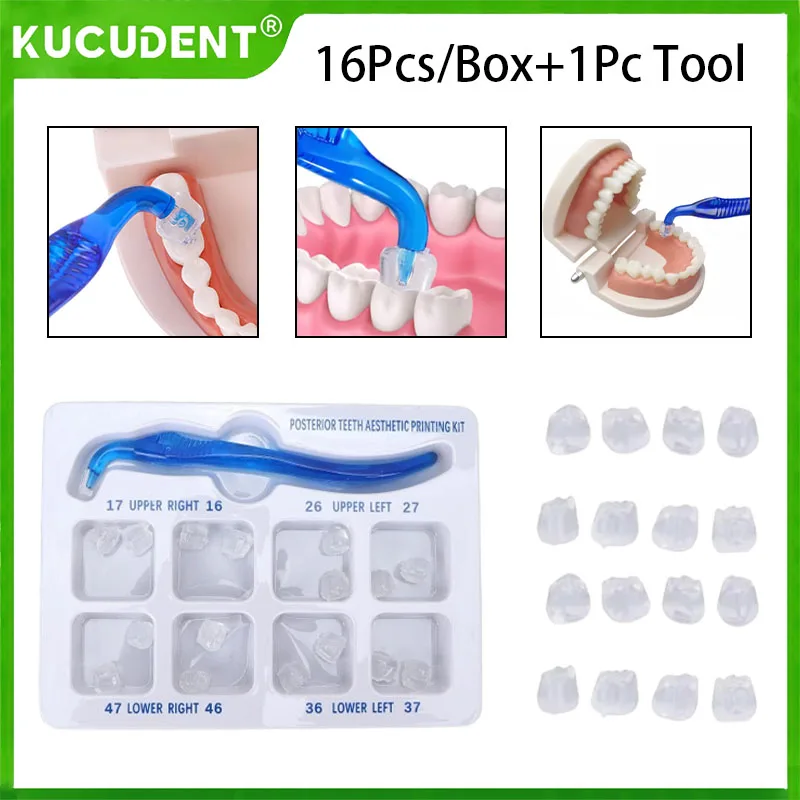 

1set Dental Posterior Teeth Aesthetic Printing Mould Kit For Light Cure Composite Restoration Filling Tools Printing Restoration