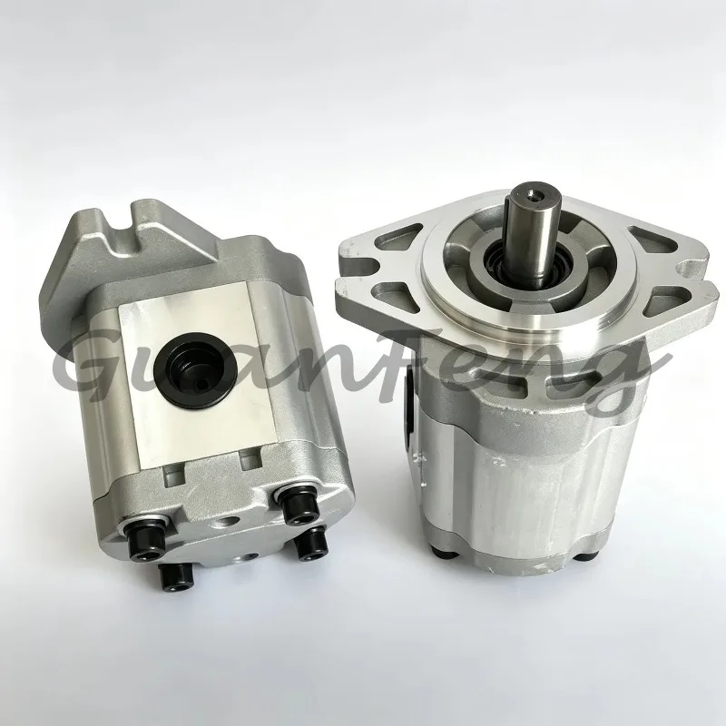 Flange Hydraulic Gear Pump for Loader Engineering Machinery