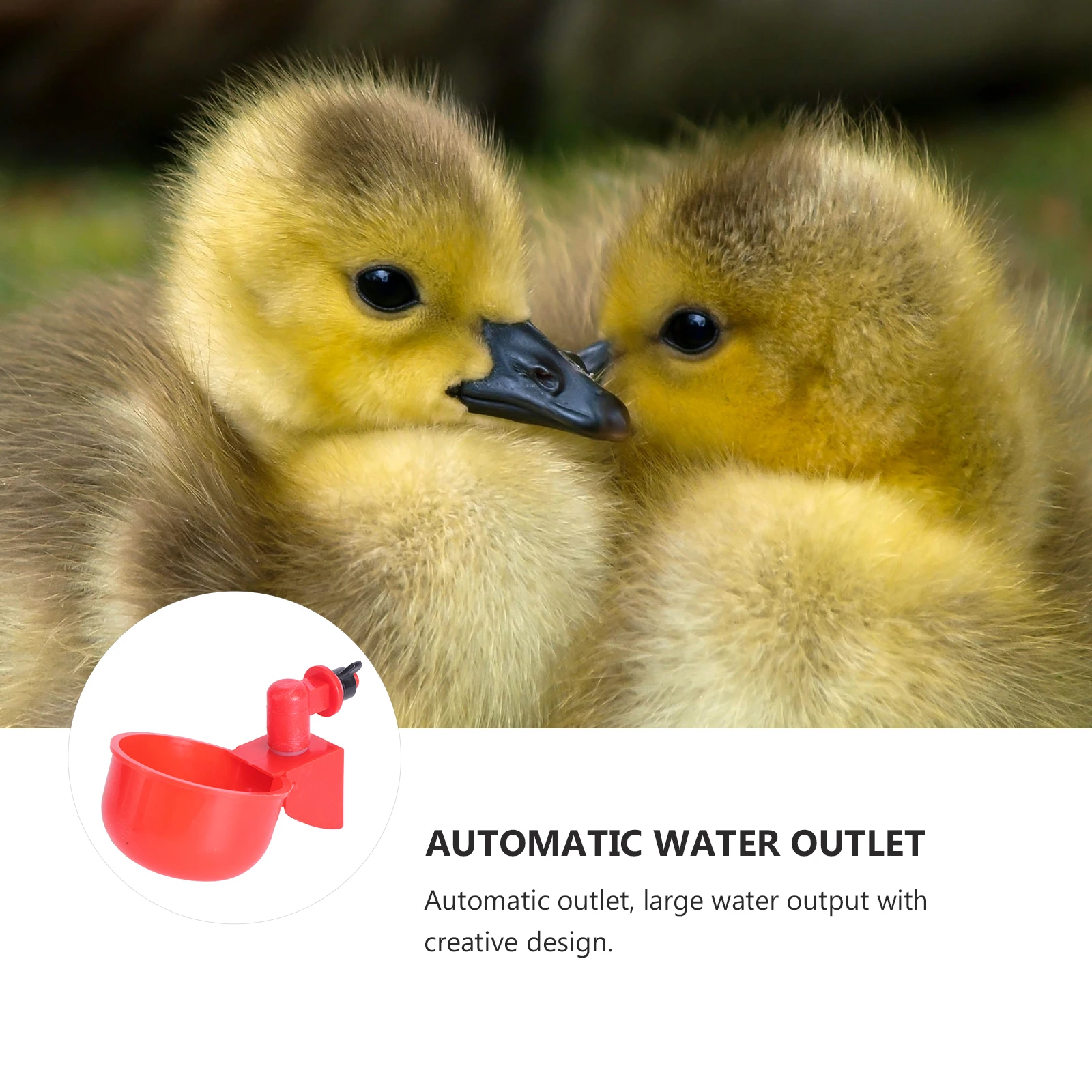 

2pcs Automatic Drinking Bowls Chicken Water Feeder For Chickens Pigeons Durable Easy Install Fall Resistant Long Life Poultry