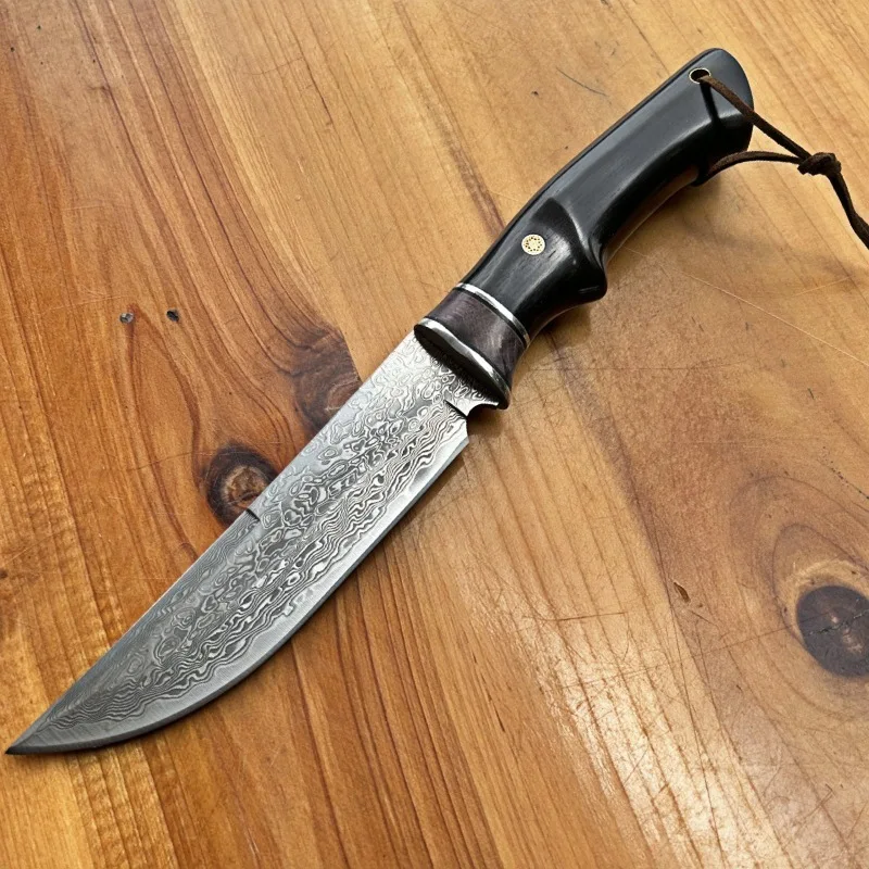 VG10 Damascus Fixed Blade Knife Portable Fruit Meat Kitchen Cutlery Collectible Handmade Small Knife with Knife Sheath view 2