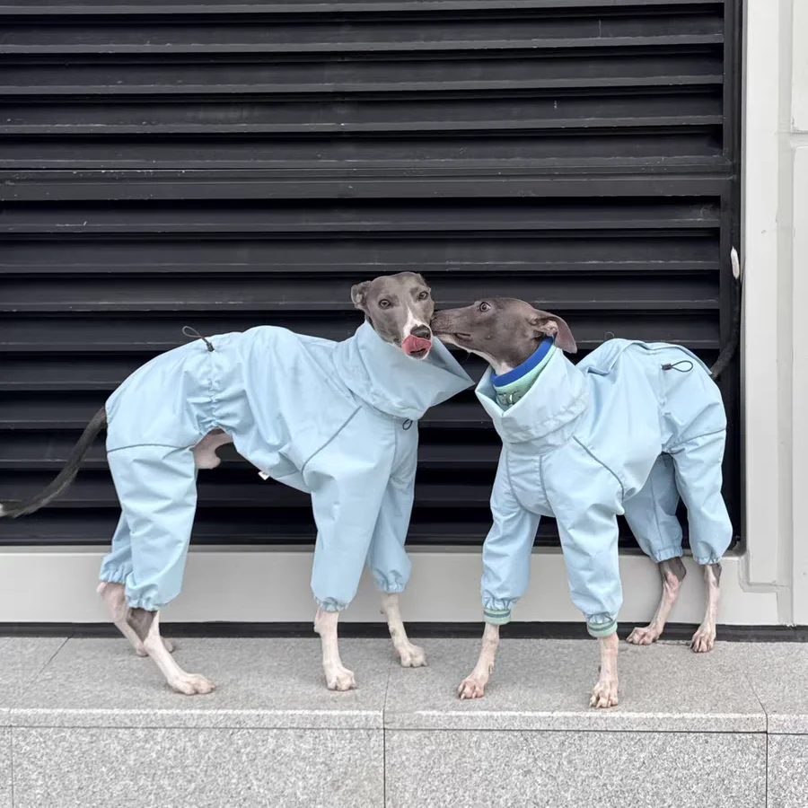 Frühling Sommer Blauer Regenmantel für Italienische Windhunde Winddichte Wasserdichte Jacke mit Rotem Reißverschluss für Whippets Reflektierender Streifenmantel – Detail 10
