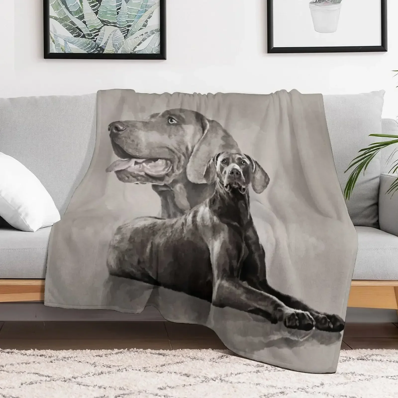 

Weimaraner Dogs Collage #2 Throw Blanket For Decorative Sofa Blankets For Baby Camping Blankets