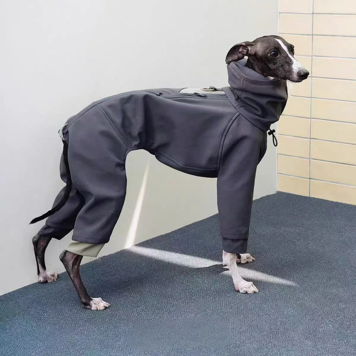 Thumbnail 2 - #38 Budget Puppy Coats for Smart Shoppers