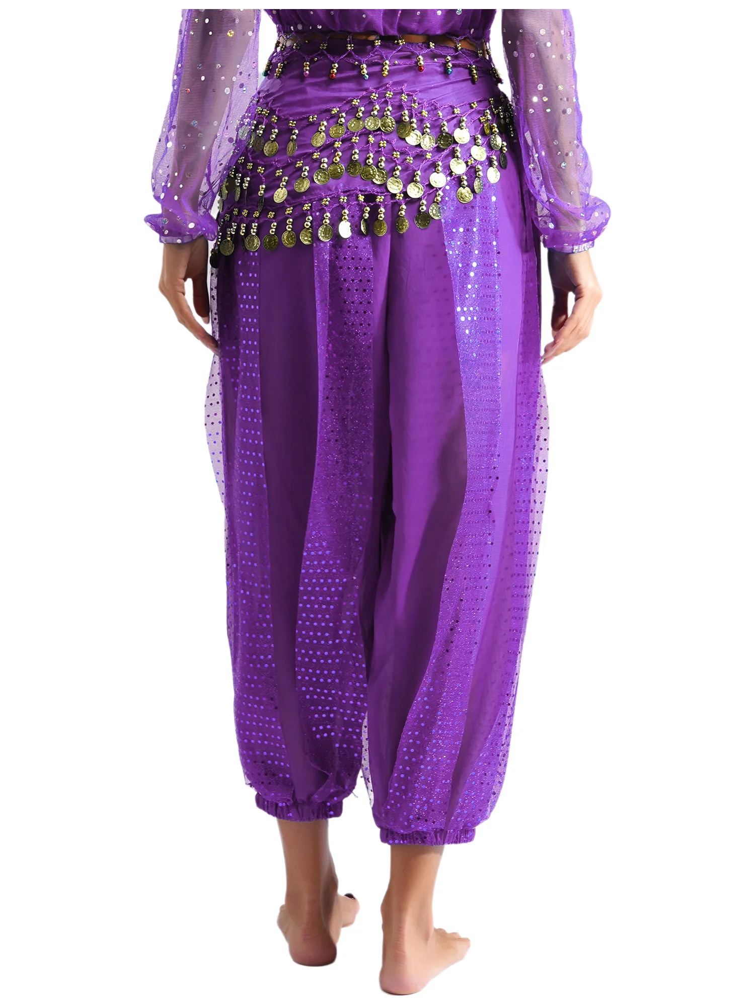 Womens Indiase buikdans outfit buikhout Halloween prestatie kostuum kwastje crop top en bloeiers lange broek met heupsjaal