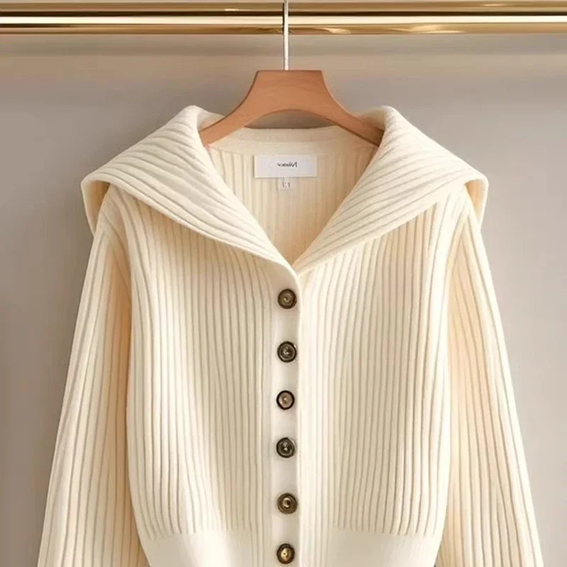 2025 automne hiver femmes tricoté simple boutonnage pull décontracté ample doux Cardigan pull veste à manches longues tricots