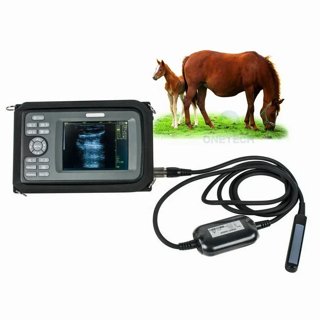 

Upgraded handheld portable all-digital veterinary ultrasonic diagnostic equipment for animals