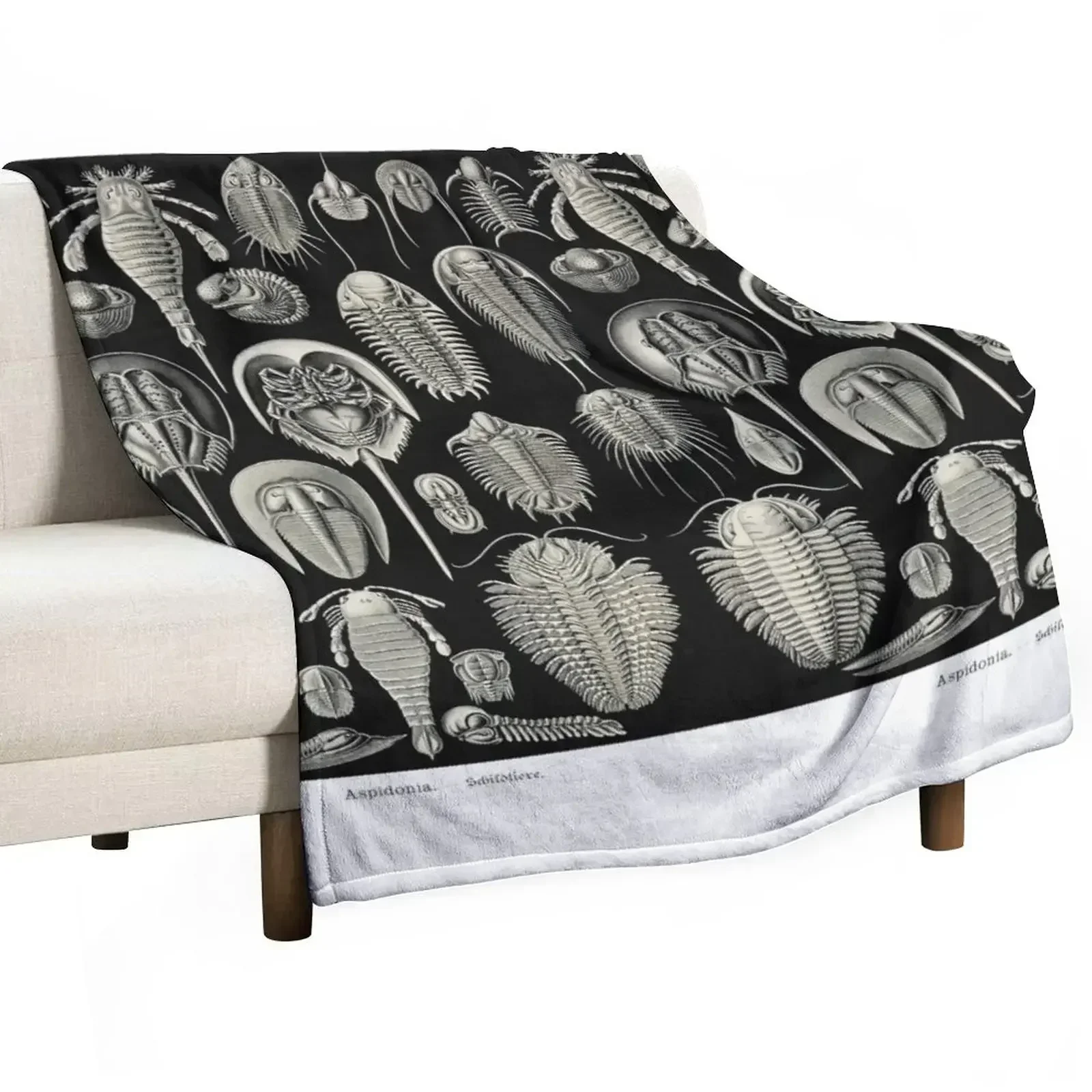 Plate 47. Trilobites and Sea Scorpions Throw Blanket Decorative Sofa Kid'S Luxury Thicken Blankets