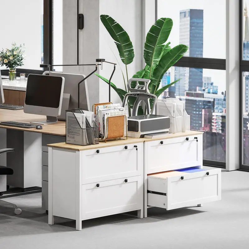 

HOMCOM Lateral File Cabinet, 2 Drawer Filing Cabinet with Adjustable Hanging Bar for Letter, A4 and Legal Size, White
