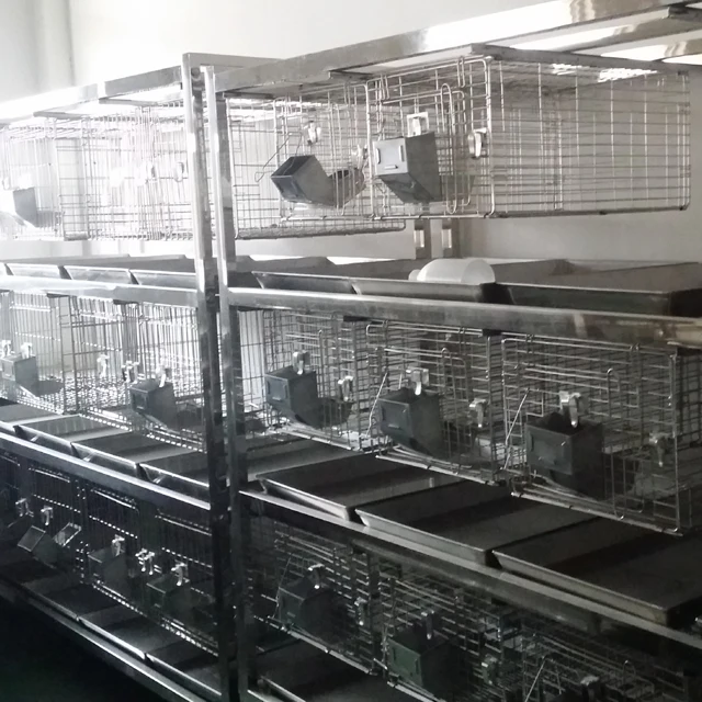 

Лабораторная стойка для животных Лабораторная клетка для разведения Клетка для хомяка