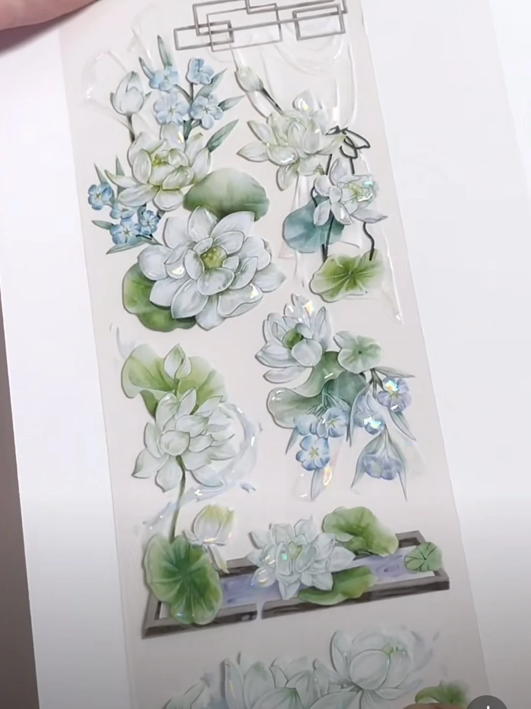 10M Floral Washi Pet Tape Shell lustro Journal Collage Card Goods materiale decorativo fiore verde