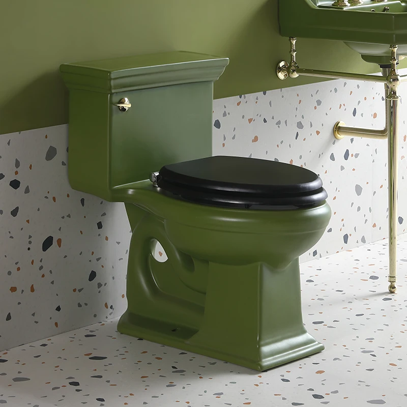 Retro trimmed toilet, black and green style toilet