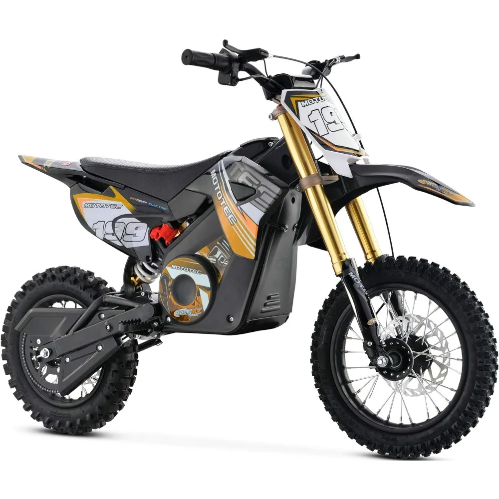 36v Pro Electric Dirt Bike 1000w