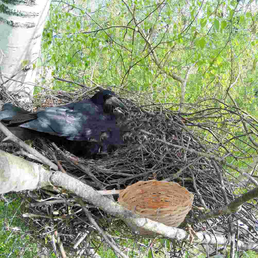 8 Pcs Bamboo Bird's Nest Nests for Birds Houses Sturdy Outdoor Pet Feeding Accessories Natural Weaving Woven