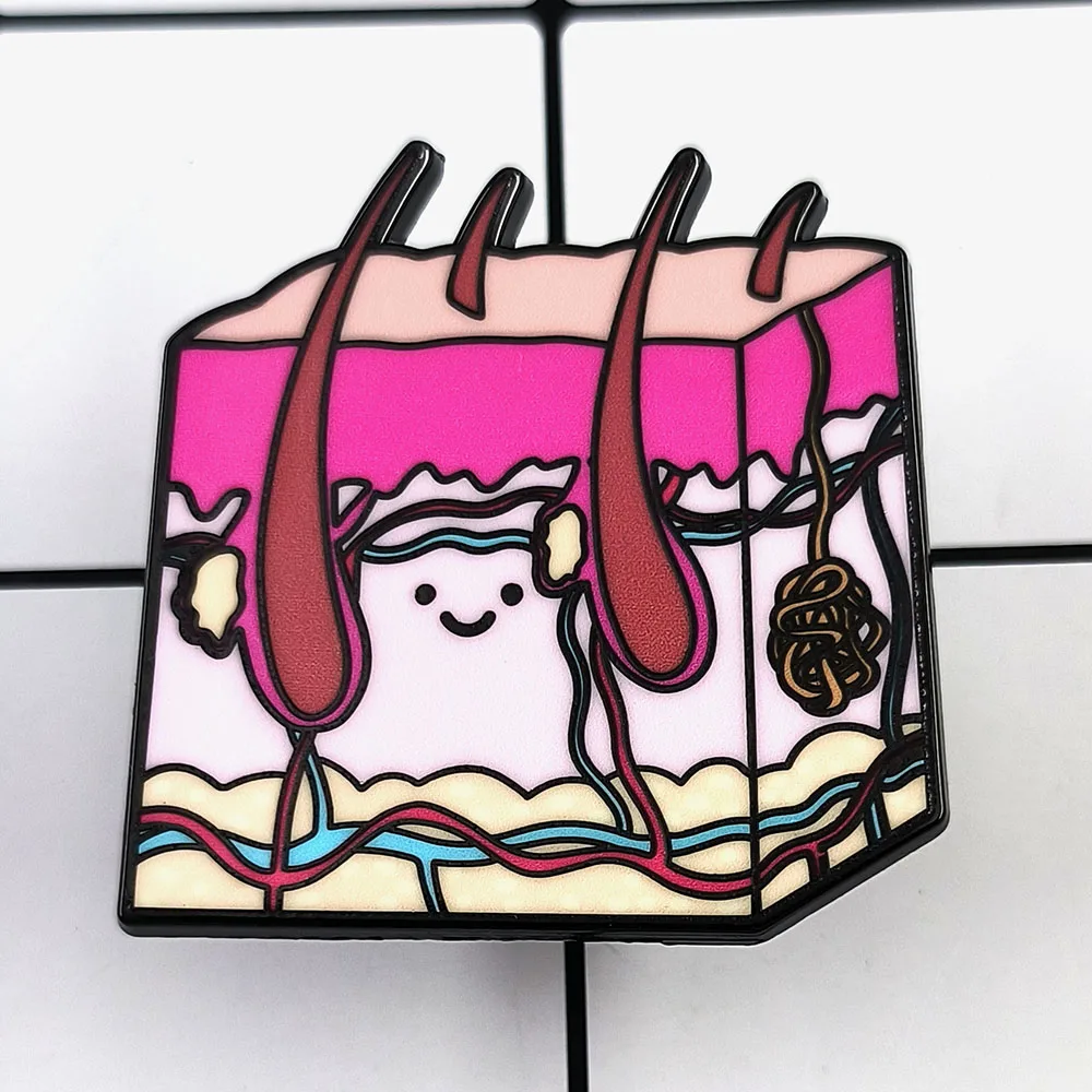 Skin Structure Science Popularization Model Brooch Human Anatomy Knowledge Enamel Pin Medical Student Clothing Accessories Badge