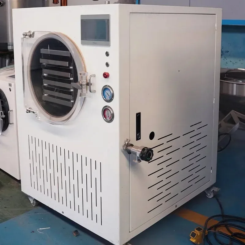 Mini Vacuum For Fruit Vegetable Salad Strawberry Apple - And Household Freeze Dryer