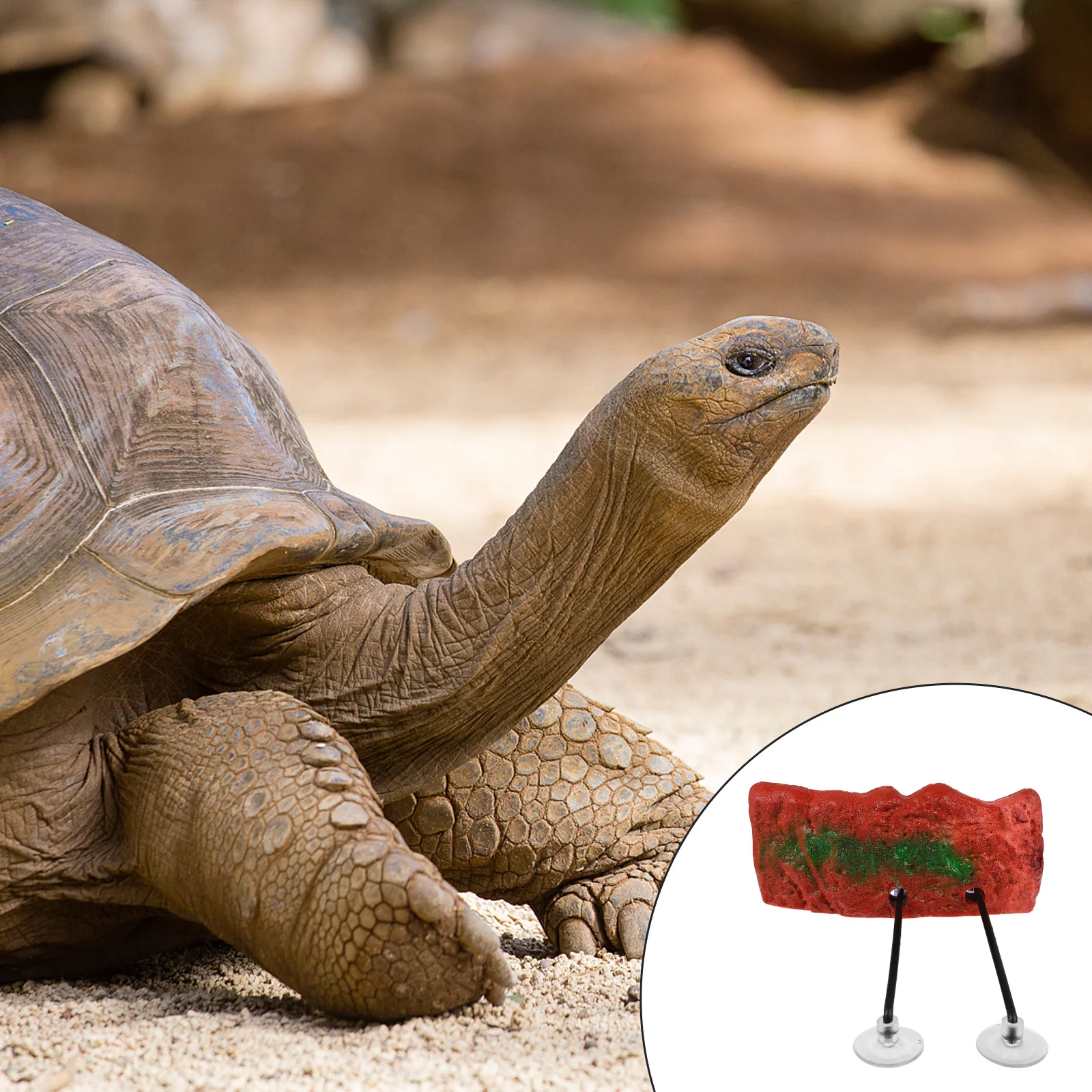 

Turtle Floating Bask Platform Aquarium Ornament Fish Tank Floating Island Tortoise Terrace Pet Rest Platform Tortoise Terrace