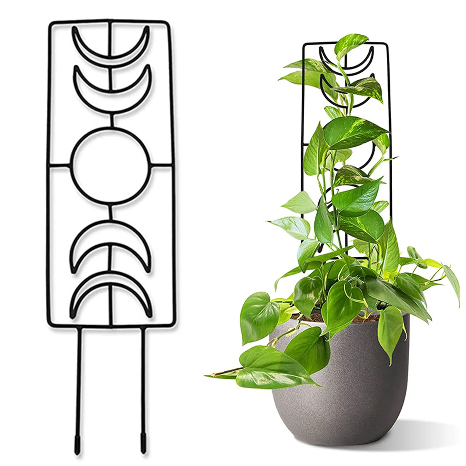 

Moon Phase Metal Trellis Trellis for Climbing Plants Plant Stem Trellis Support Stake Stand Growth Flower Rattan Climbing Rack