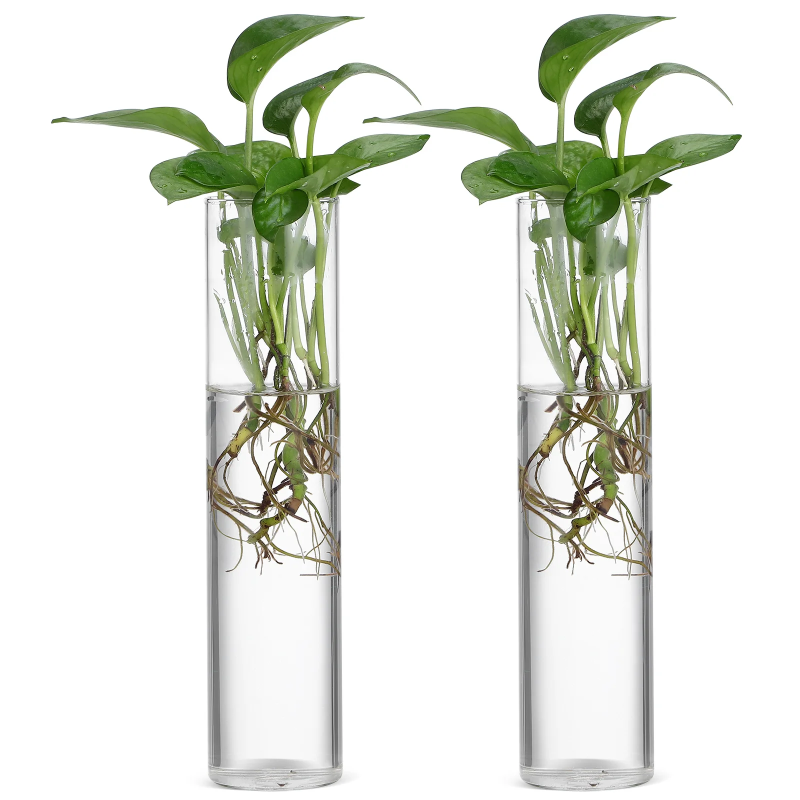 

2Pcs Sleek Cylinder Glass Wall Vase Hanging Planter for Indoor Plants and Floral Compositions Cylinder Glass Wall Vase