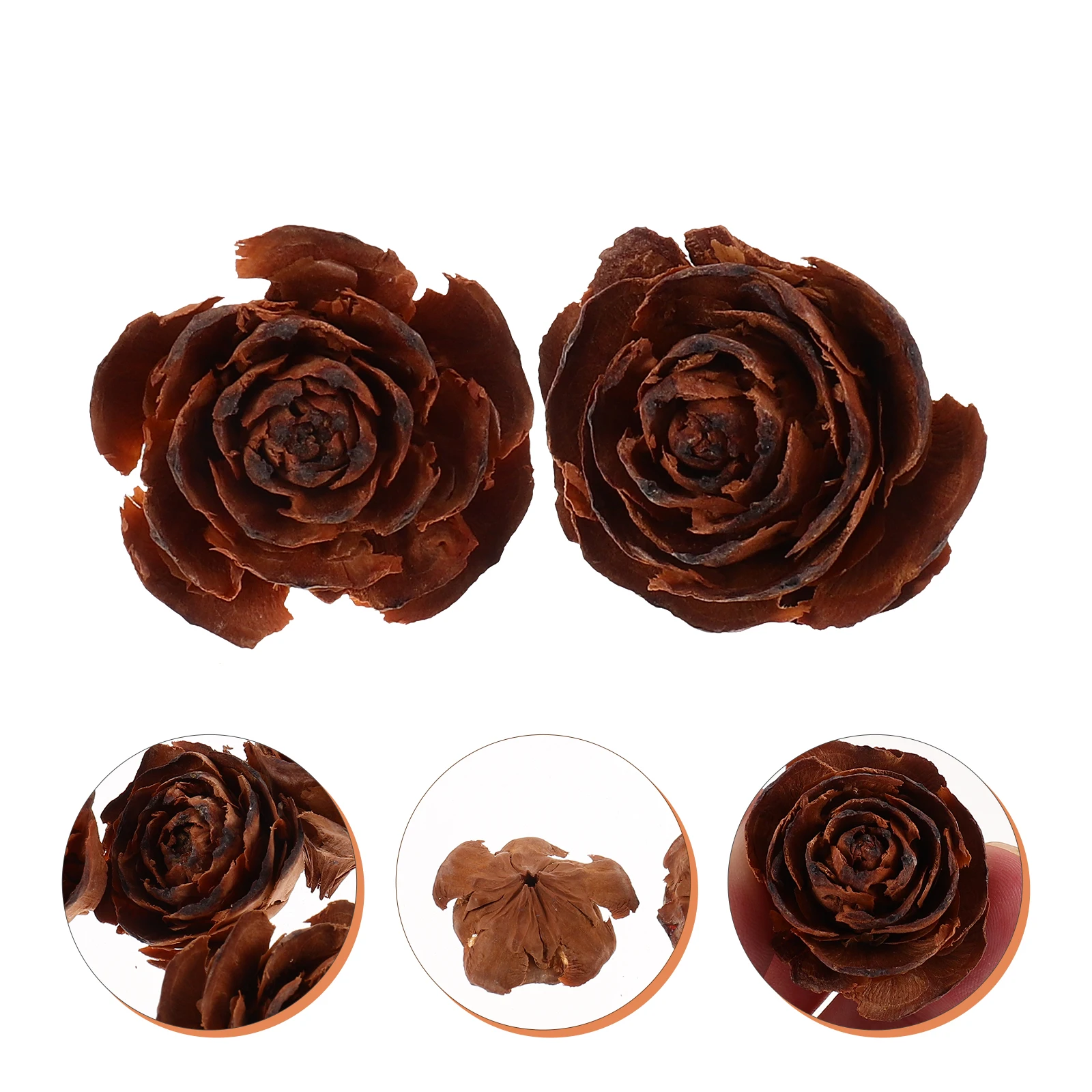 10 pezzi di fiori secchi campioni di fiori secchi naturali materiale per artigianato fai da te in resina arte fatta a mano decorazioni per piante campioni di materiali per la lavorazione