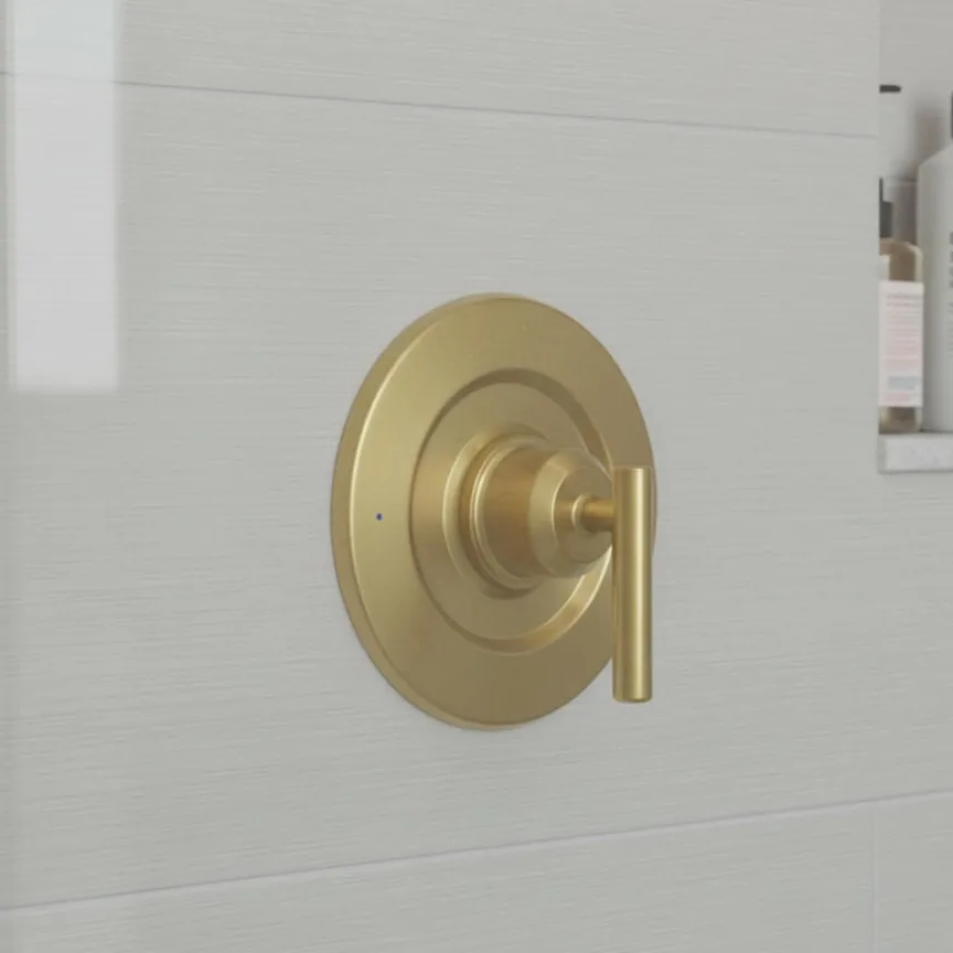 Single Handle Shower Trim Kit, Shower Faucet Decorative Cover & Handle Replacement Accessories