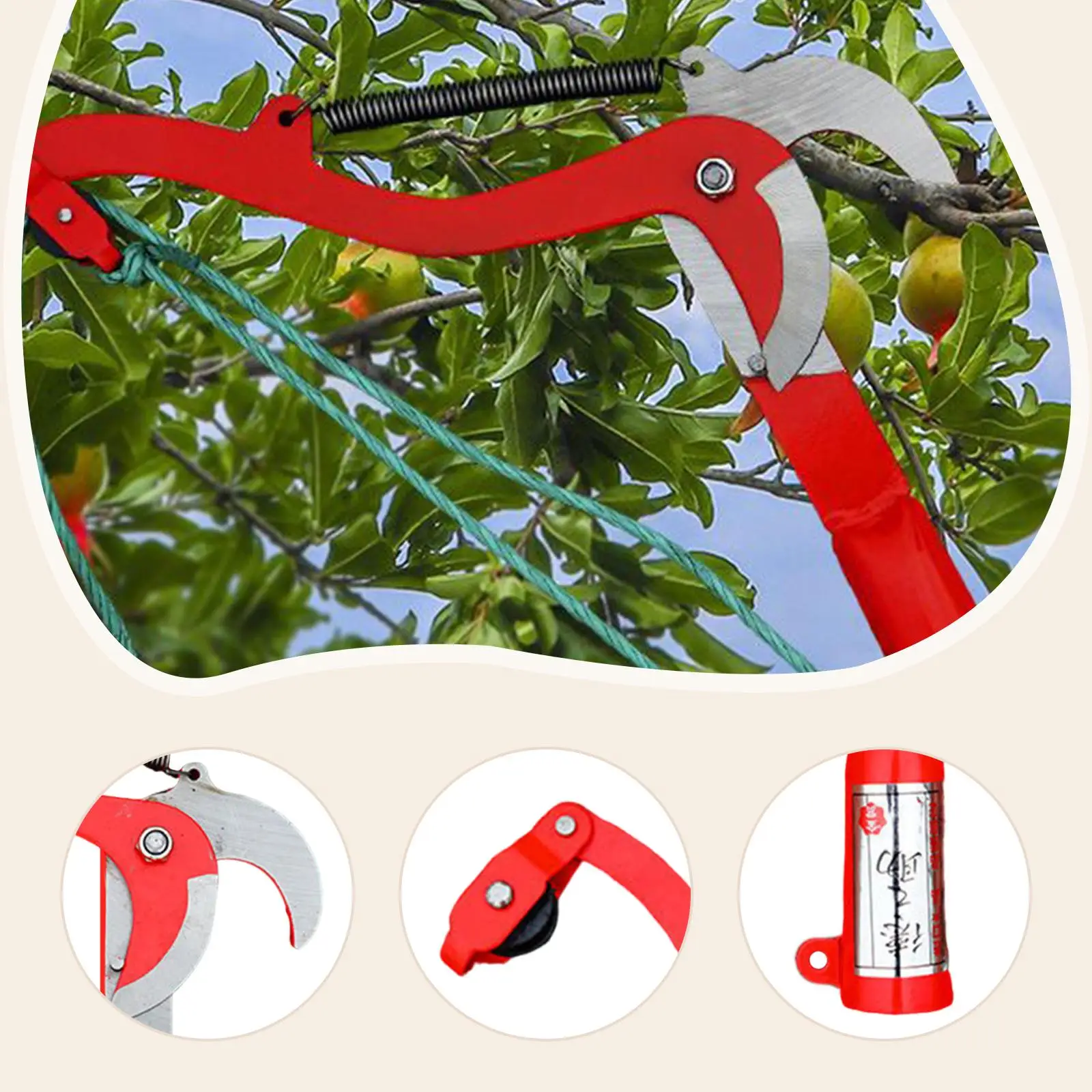 

Ножницы для обрезки на высоте, прочные, универсальные, для плодовых деревьев, с веревкой 1,5 м