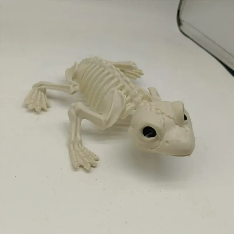 New Halloween Props Frog Skeleton Props Decorations Simulation Spoof Frog Skeleton Animal Model Accessories Desktop Ornaments