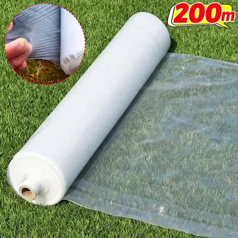 Greenhouse Film Cle… - image