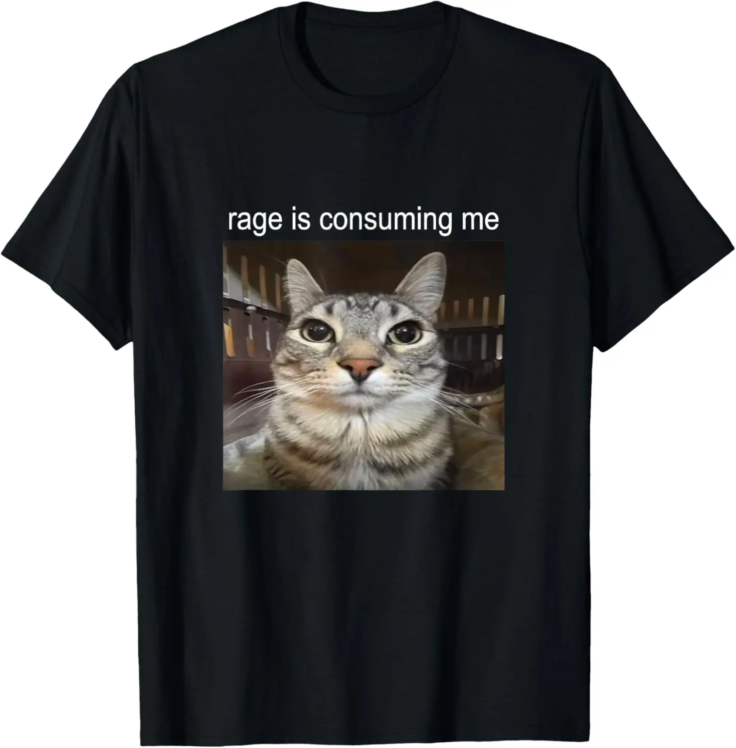 Rage Is Consuming Me Silly Staring Cat Meme T-Shirt 100% Cotton Trendy Y2K Short-Sleeve Tee-Soft, Quick-Drying,