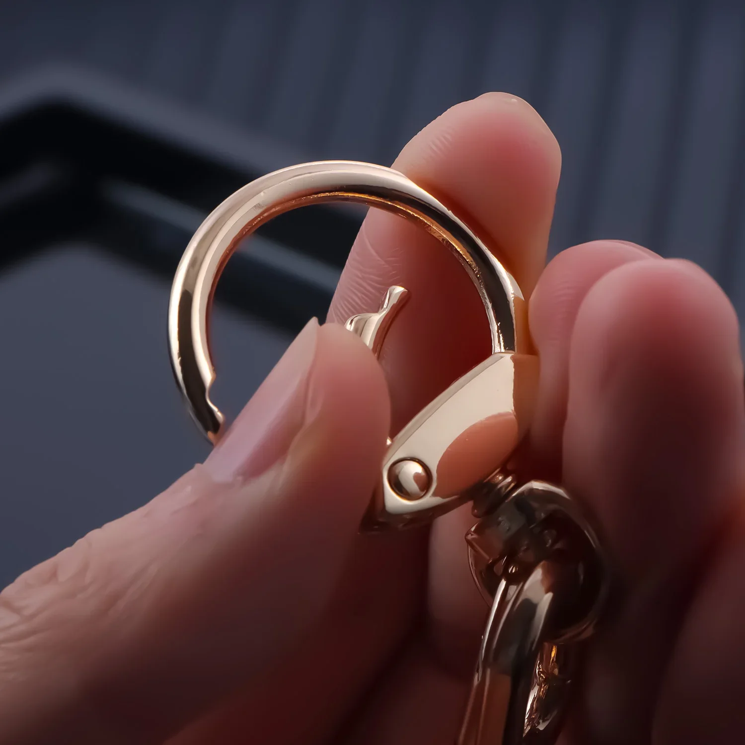 2pcs Keychain Hook with Key Ring Keychain Clip Hook with Spring Ring for Lanyard Jewelry Making DIY Crafts