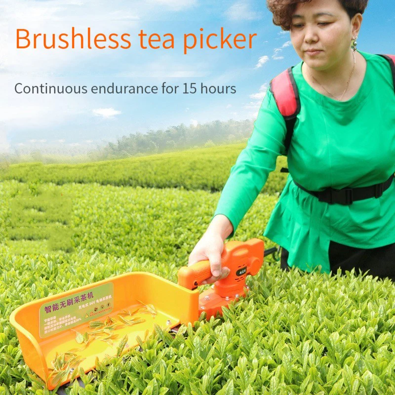 Brushless Electric Tea Picker 24V Lithium Battery Rechargeable Hedge Machine Tea Picker Electric Trimmer