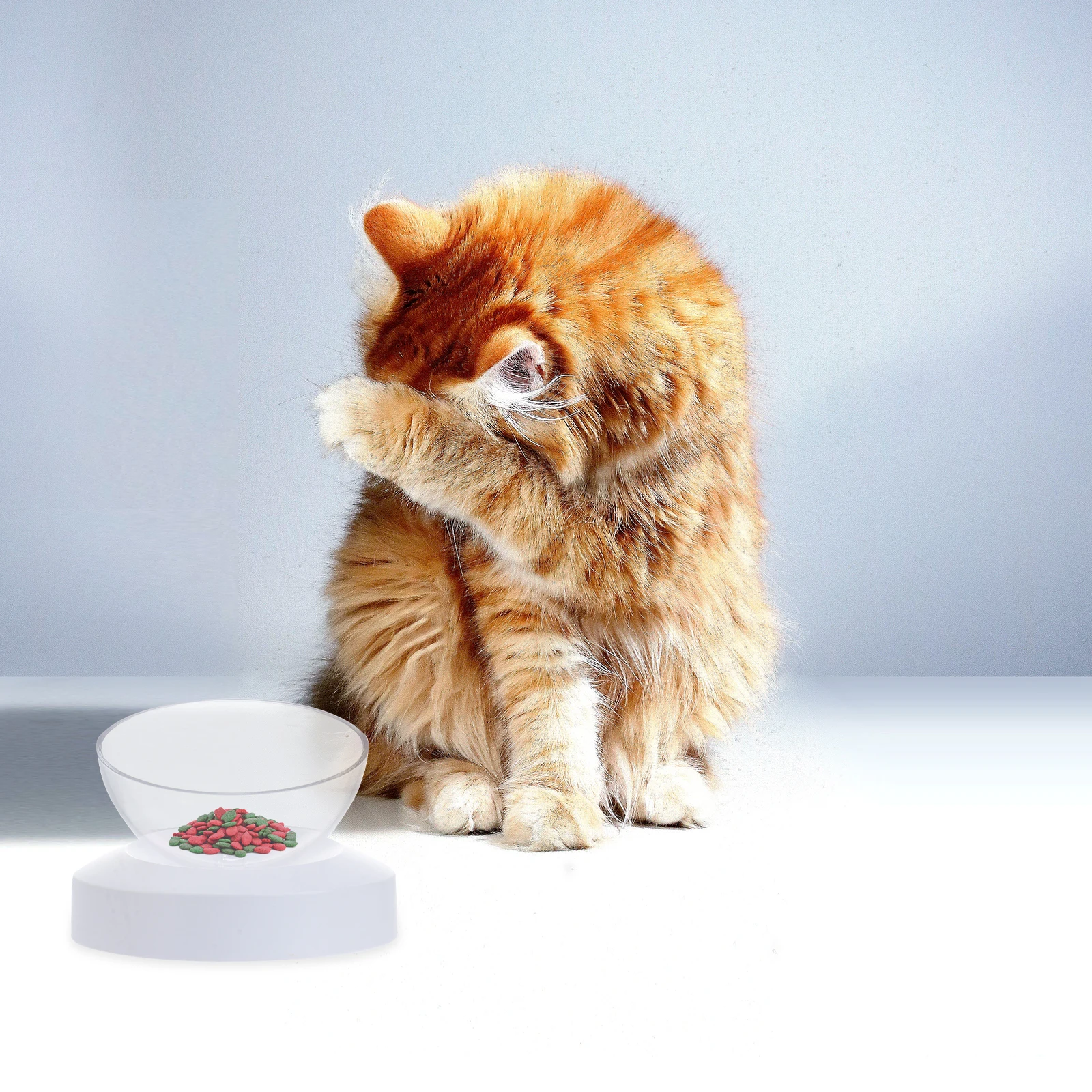 

Cat Bowl Large Base Adjustable 20° Pet Feeding Water Easy Clean Anti Skid Premium ABS PC Durable Practical Stable