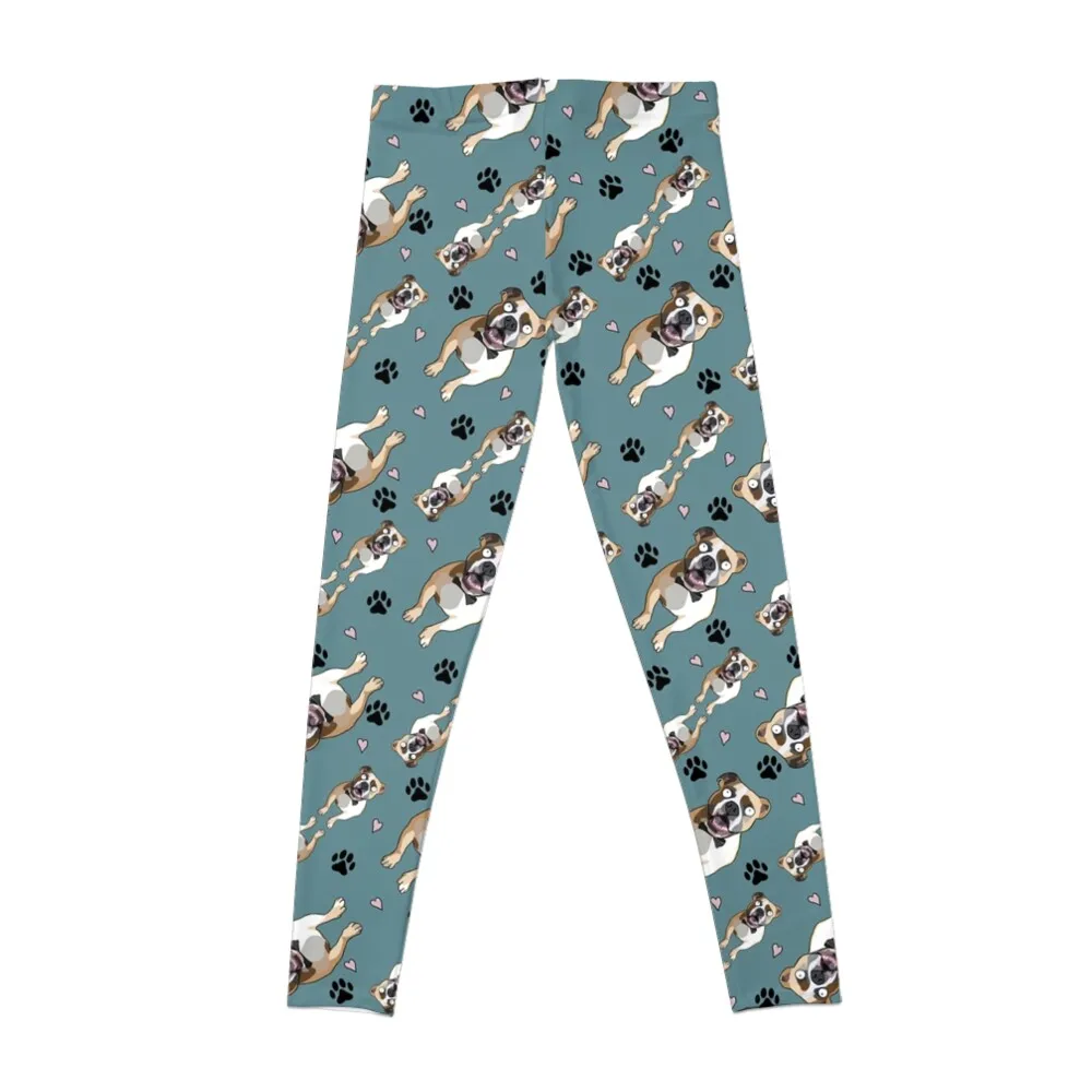 Reggie the Bulldog Mix Leggings for physical Training pants sport legging Womens Leggings