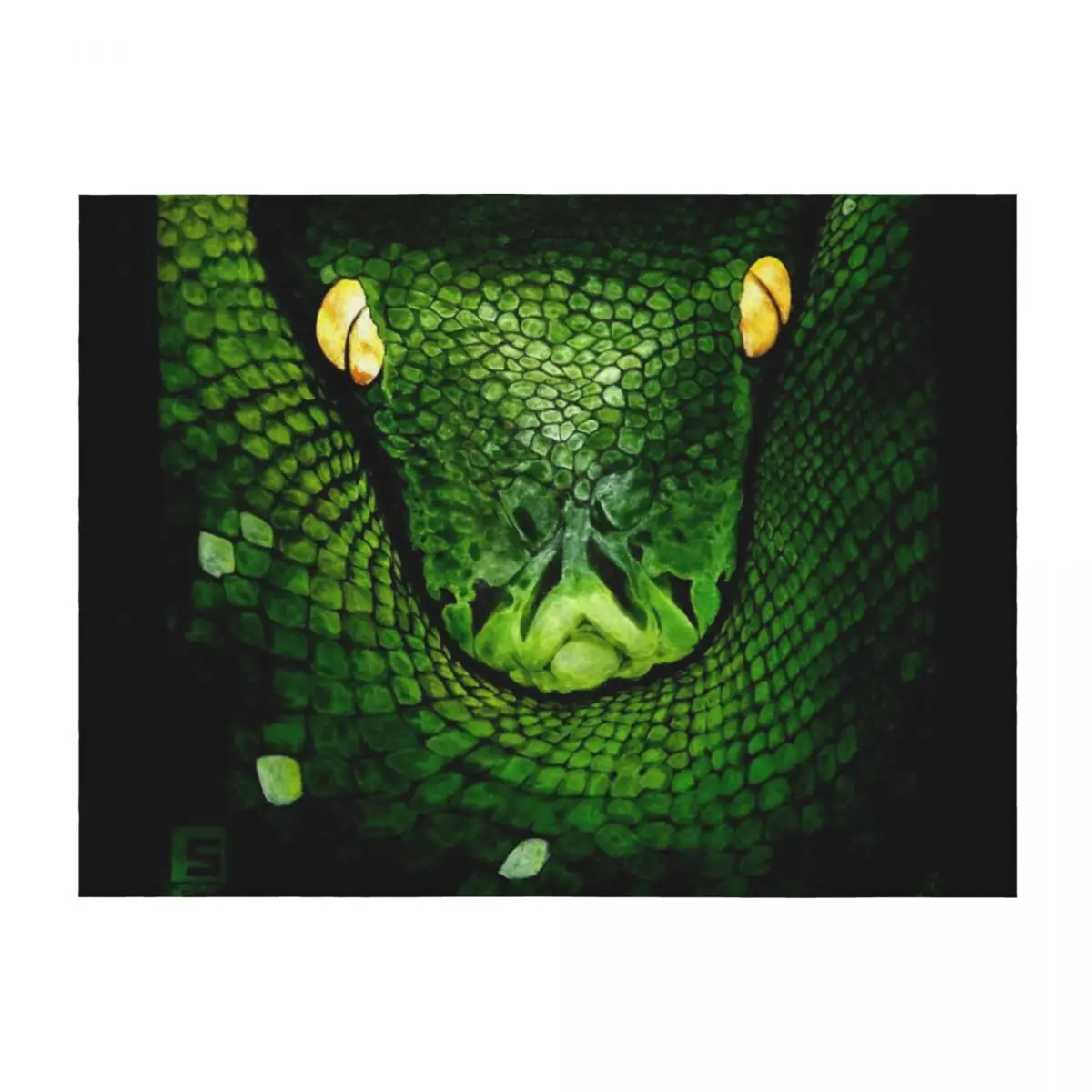 

Green Tree Python (Morelia viridis) Throw Blanket For Decorative Sofa Custom cosplay anime Moving Blankets