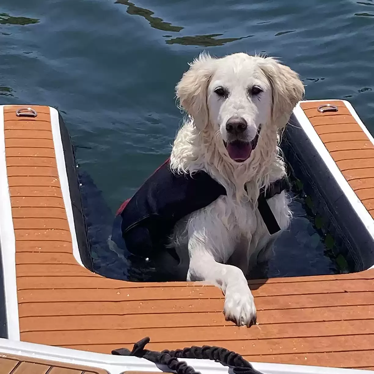 PVC Inflatable Dog Pool Float Raft With Ladder, Pet Floating Platform for Swimming Pool Water Play 1x1.2x0.1m